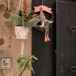 Guest house Camera Top Trani