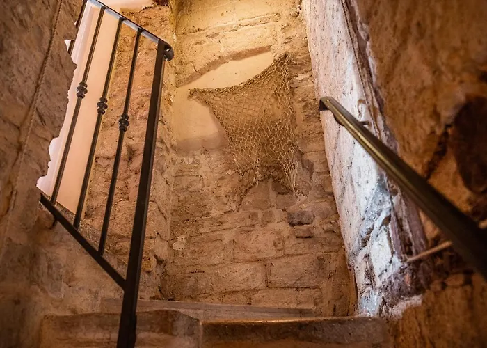 Camera Top 招待所