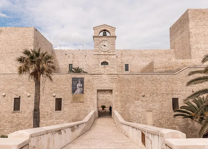 Camera Top 特拉尼